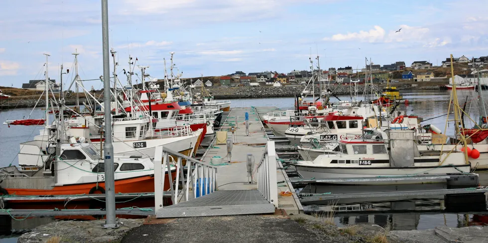 I Mehamn har Jan Eirik Johansen startet nytt fiskeriselskap, her fiskeflåten i Mehamn.