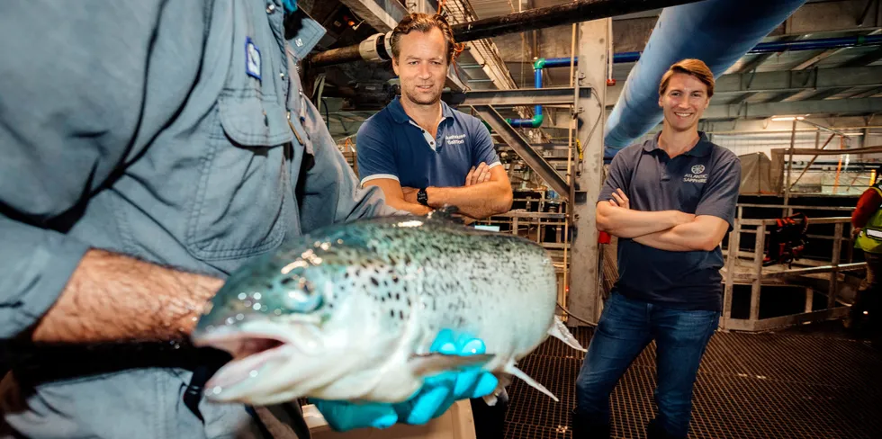 Atlantic Sapphire og gründer Johan Emil Andreassen (i midten) skal oppdrette laks på land i USA. Selskapsnavnet spiller på det safir-fargede blåskjæret langs ryggen på fisken. Finansdirektør Karl Øystein Øyehaug (til høyre) følger med mens en veterinær sjekker en laks.