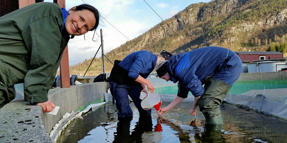 Her gjennomføres undersøkelser på NINAs forskningsstasjon ved Imf i Rogaland. Fra venstre: Grethe Robertsen (NINA), Monica F. Solberg (HI) og Line Sundt-Hansen (NINA).