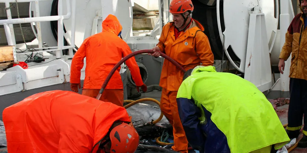 JUBEL OM BORD: Endelig klaffet det på «Brennholm». Her tas størjen om bord på før den lagres i tanker.