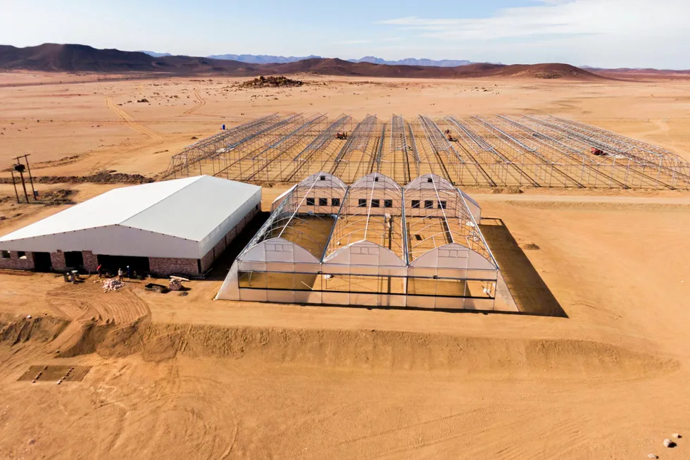The greenhouses for the Daures Green Hydrogen Village under construction in early 2024.