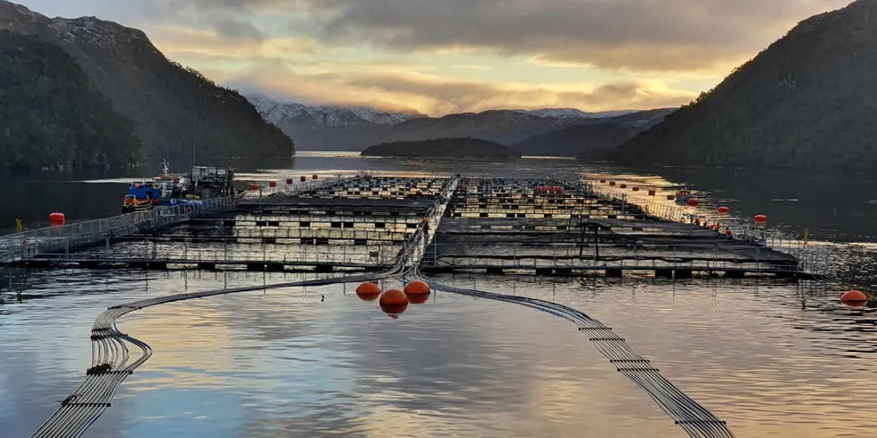 The fine is a severe blow to the embattled salmon farmer