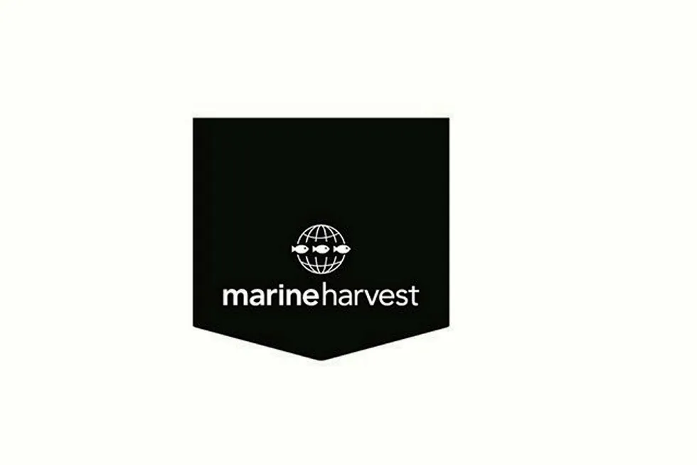 Marine Harvest is the world's largest producer of Atlantic salmon.