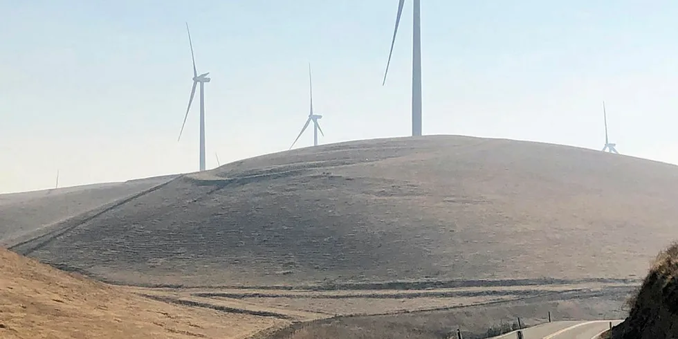 A California wind farm.