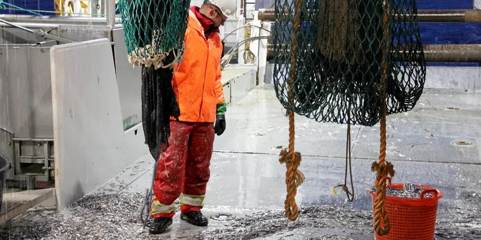 Det er resultatene fra Havforskningsinstituttet økosystemtokt i Barentshavet i fjor høst som ligger til grunn for at det ikke blir et loddefiske i Barentshavet i år.