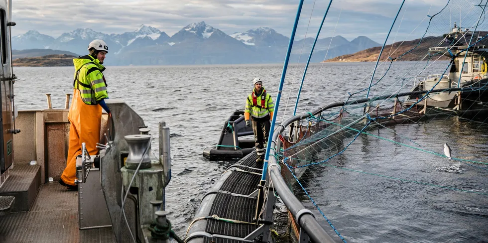 Her et glimt fra Lerøy Aurora sitt annlegg i Kågen ved Skjervøy i Nord-Troms.