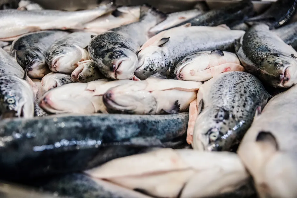 Fiske bidro til oppgang i fastlandsøkonomien i november. Her fra Lerøy Auroras slakteri på Skjervøy.