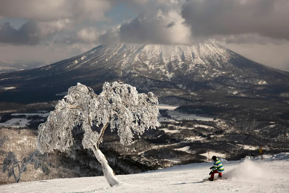 Descent: a man snowboards down a slope overlooking Mount Yotei at a ski resort in Niseko, Hokkaido, Japan.