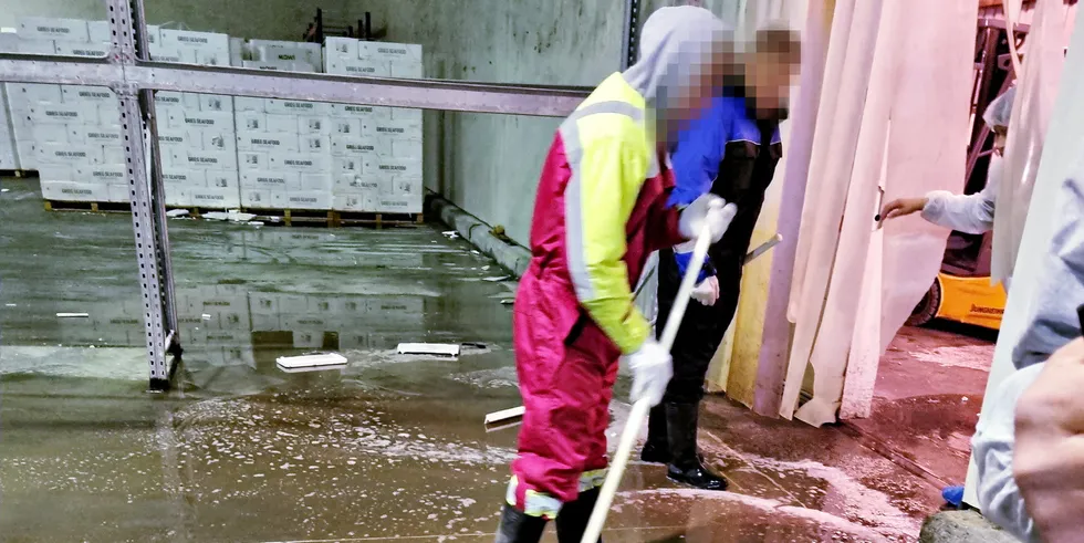 Photo from one of the inspections the Norwegian Food Safety Authority carried out at Atlantic Seafood earlier this year.