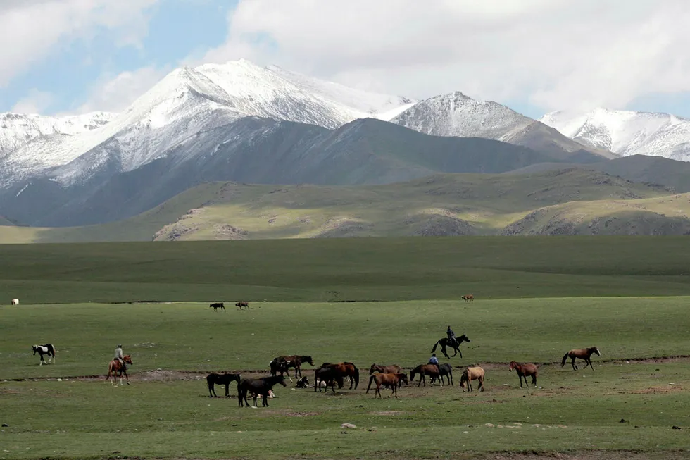 Riders gather horses in preparation for a folklore festival in the Sarala-Saz highland pasture . REUTERS/Vladimir Pirogov (KYRGYZSTAN)
