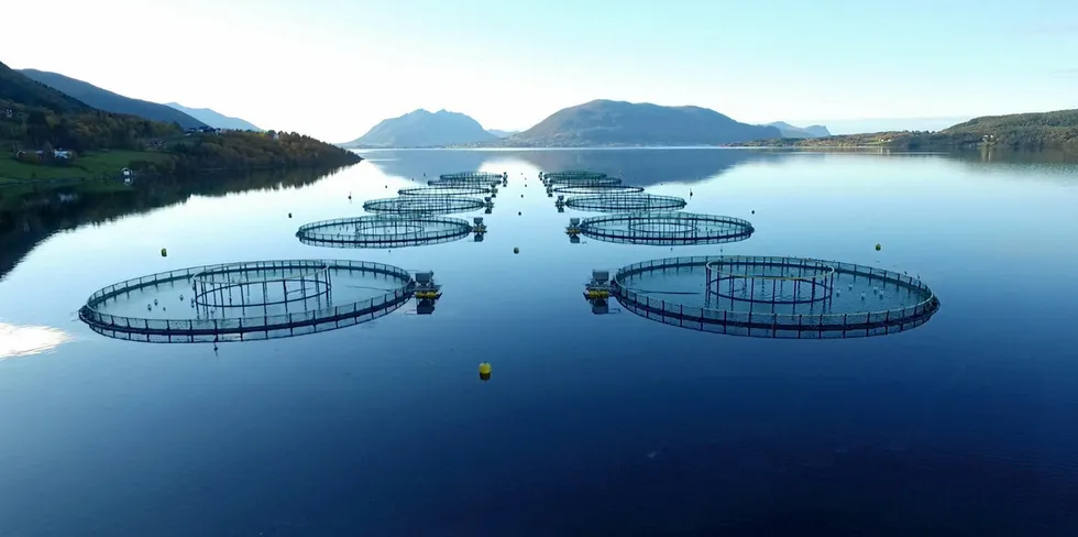 En av sjølokalitetene til Nordic Halibut. I standard lakseutstyr (120-meters ringer) produserer selskapet kveiter opp til slaktevekt på 6-7 kilo.