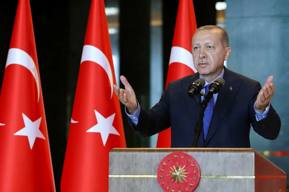 Analytikere mener en varig stabilisering av Tyrkisk økonomi kan bare følge av endringer i president Recep Tayyip Erdogans politikk.