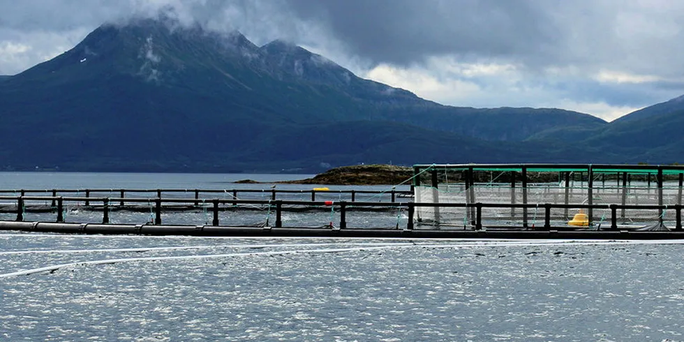 BETALER FOR SJØAREAL: Det er lagt opp til at lakseselskapene må betale kystkommunene for at de setter av sjøareal til oppdrett. Bildet viser en lakselokalitet i Steigen kommune i Nordland.