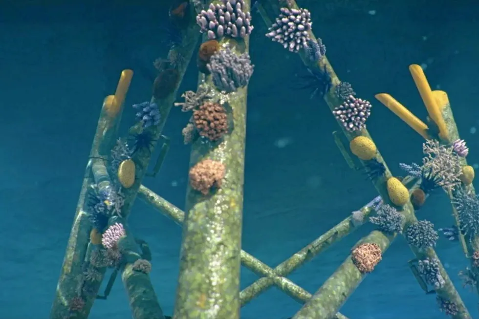 Sea life: Rendering of concept for reefs at offshore foundations by Shell rival Orsted