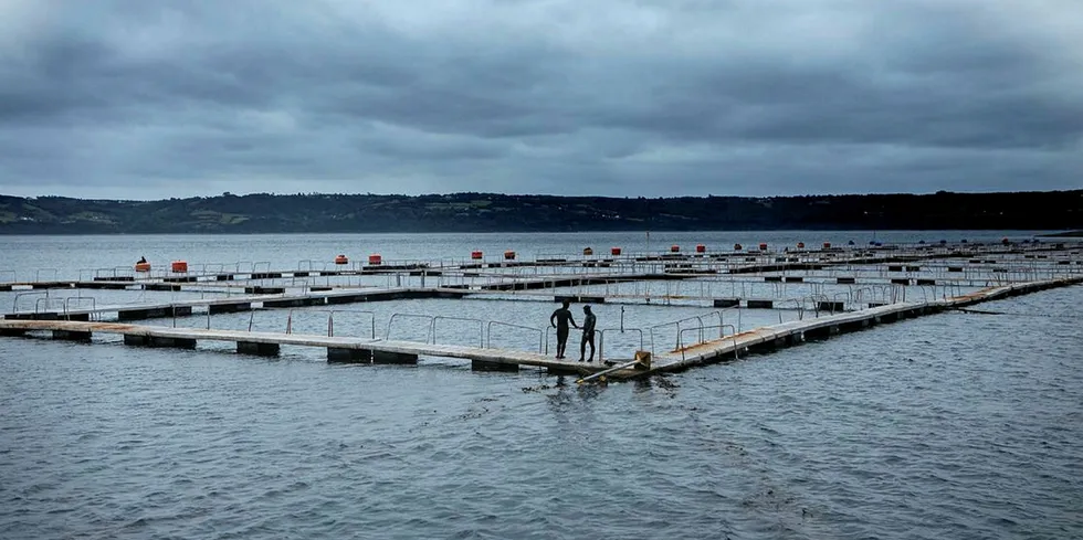 Et oppdrettsanlegg i Chile som er med i filmen «Estado Salmonero».