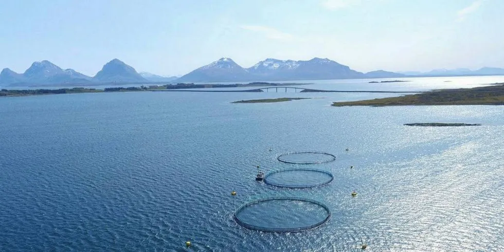 Kystsone: Planverket er det viktigste verktøyet vi har til å balansere bruks- og verneinteresser. Så neste gang det annonseres at en kommune nær deg skal rullere sin kystsoneplan, er det avgjørende å kjenne sin besøkelsestid. Illustrasjonsfoto: Nekton Havbruk