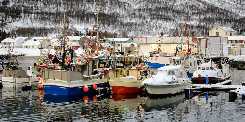 Et nytt fiskeriselskap er startet i Oldervik. Her fra Oldervik fiskeindustri.