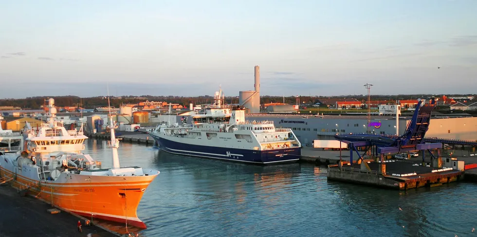 Slaktebåten «Norwegian Gannet» ved havn i Hirtshals. Det store spørsmålet er om båten får fortsette å føre laks fra Vestlandet til Hirtshals.