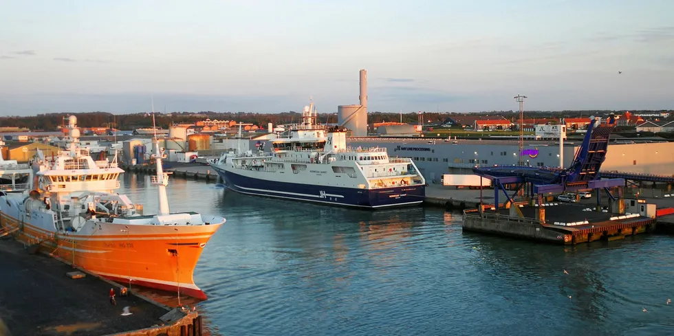 STRIDENS EPLE: Får slakteskipet «Norwegian Gannet» ta med prodfisk ut av landet? Her er båten ved havn i Hirtshals