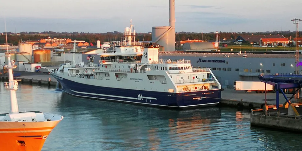 HAVNEN ER ÅPEN: Slaktebåten «Norwegian Gannet» i havn ved Havline sin laksefabrikk i Hirtshals i Danmark. De som arbeider på havnekontoret har nå hjemmkontor på grunn av koronaviruset. Men havnen åpen for båtanløp.