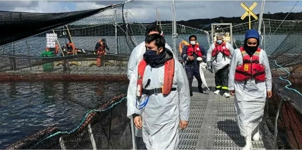 Kontrollører besøkte lokaliteten Caucacura på Chiloé på mandag.