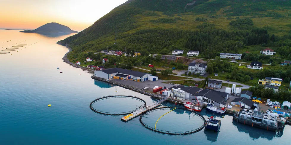 Wilsgård Fiskeoppdrett AS har i dag to slaktemerder ved slakteriet i Torsken på Senja. Selskapet ønsker å utvide med to merder til.