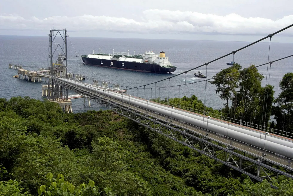 Destination: an LNG tanker at the EG LNG loading jetty