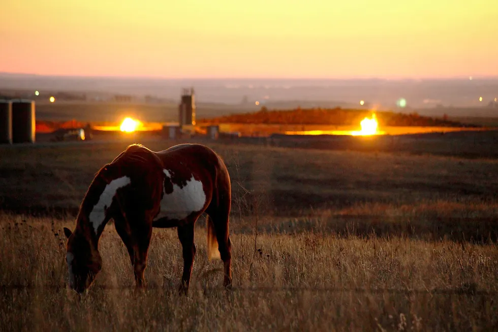 Brenningen av gass på Bakken-feltet i Nord-Dakota lyser opp i natten som en amerikansk millionby. Foto: Ørjan F. Ellingvåg