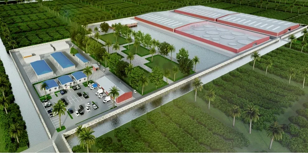 An illustration of CP Foods' Homegrown Shrimp farm in Miami.