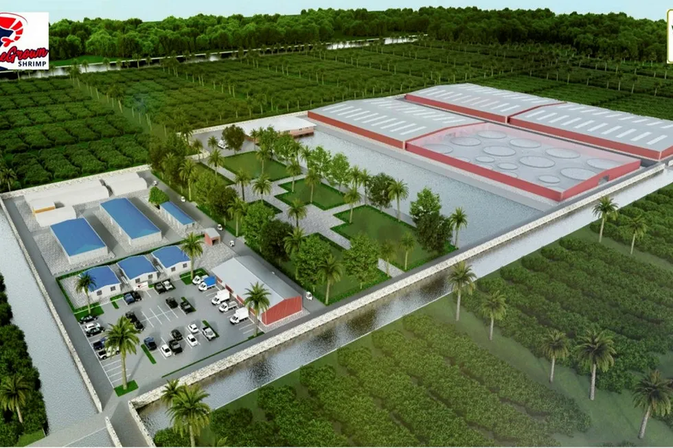 An illustration of CP Foods' Homegrown Shrimp farm in Miami.