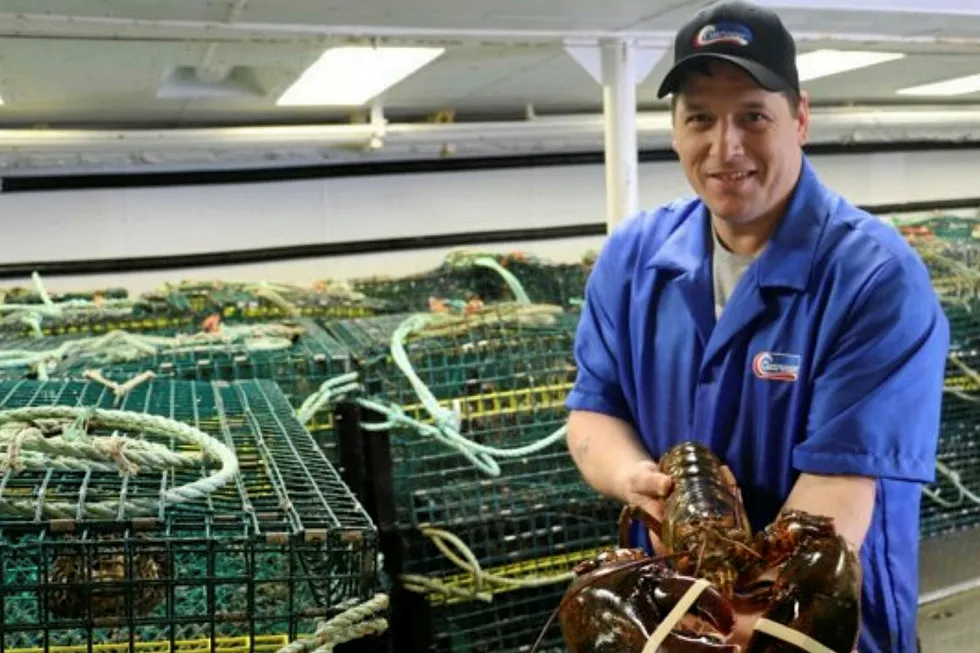 Clearwater lobster traps did not follow DFO regulations, the government agency said.