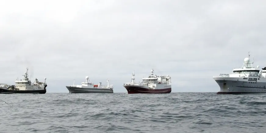 Havforskningsinstituttet trenger to nye fartøy i den havgående referanseflåten. Illustrasjonsfoto: Leif Nøttestad.