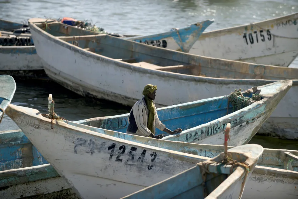 Focal point: Nouadhibou is Mauritania's main fishing port and could be a key base for Chariot's proposed green hydrogen scheme