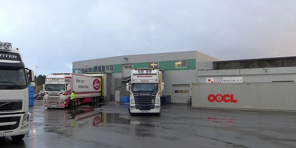 Trailerkø: Trailerne står i kø ved Sotra Fiskeindustri på Glesvær i Sund vest for Bergen. Foto: Ole Erik Klokeide.