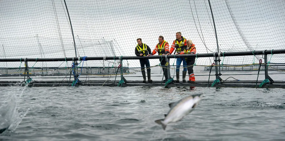 Oppdrettsbedriften Salmar ønsker flere faste konsesjoner på Senja. Driftsleder Geir Olsen (fra venstre), daglig leder Ørjan Jensen, driftssjef Alf Arild Jakobsen og regional samfunnskontakt Irene Lange Nordahl i Salmar Nord ved selskapets oppdrettsanlegg ved Skårliodden på nordspissen av Senja.