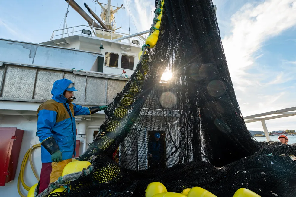 Da Fiskeridirektoratet slapp ringnotflåten inn på fjordene i Troms for å fiske nvg-sild i fjor, var klimahensyn en av årsakene. Slikt kan det bli mer av fremover. Her er «Svanaug Elise» etter levering av sildefangst på Uthaug høsten 2021.