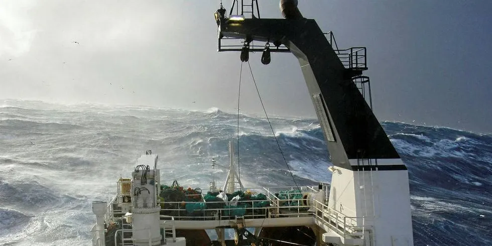 Klimaendringer gjør vekstbetingelsene til de marine artene i Nordsjøen vanskeligere.Illustrasjonsfoto: Aker Seafoods