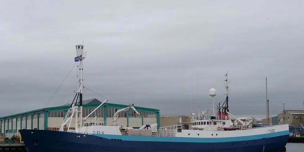 VED KAI: Tidligere "Møgsterøy" og "Kvitbjørn" ved kai i Reykjavik. Arkivfoto