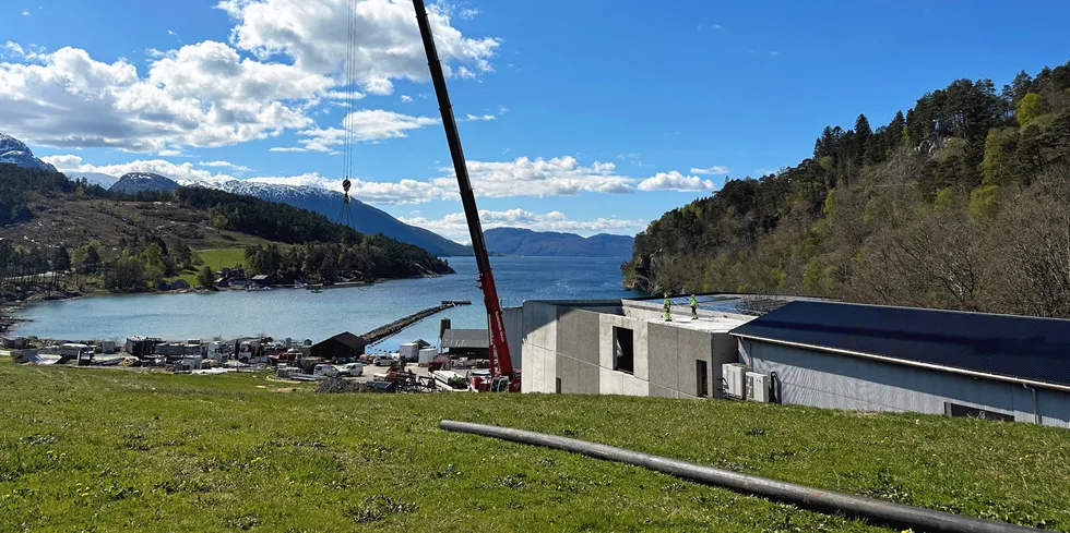 Biofish holder til på Ljones i Kvam, et stykke sør for Bergen.