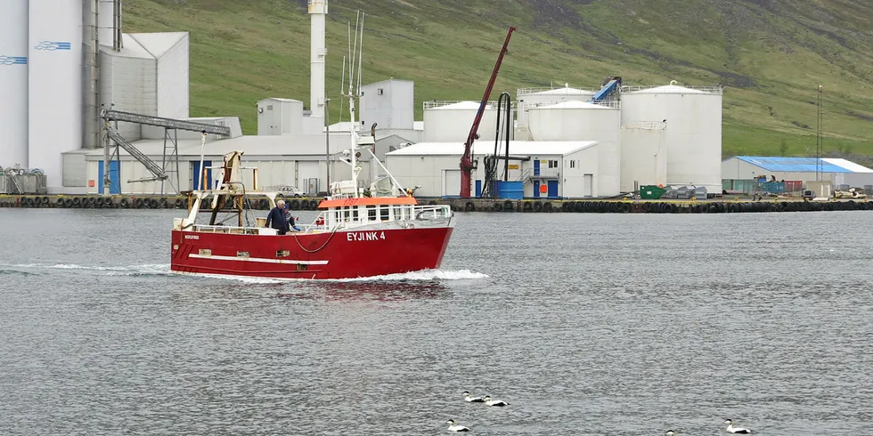 SPENT PÅ LODDE: Loddetoktet ved Island har foreløpig ikke gitt noen særlig oppløftende resultater. På bildet ser du fiskemelfabrikken til Síldarvinnslan, Neskaupstad.