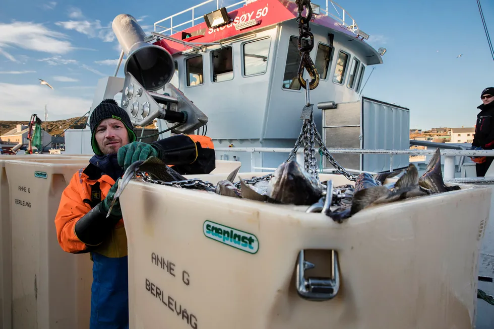 Fisker Stein Rune Solli var med på å føre Berlevåg til topps i netthandelen i juni. – Det ble blant annet utstyr til båten, sier Solli om hva han kjøpte på nettet.