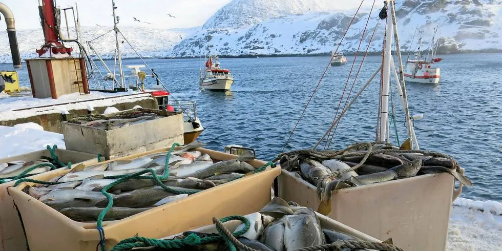FELLESKAPETS GODE? Hvorvidt ligger de viltlevende marine ressursene til fellesskapet i Norge? Spør professor Torbjørn Trondsen i et debattinnlegg.Illustrasjonsfoto: Agnar Berg