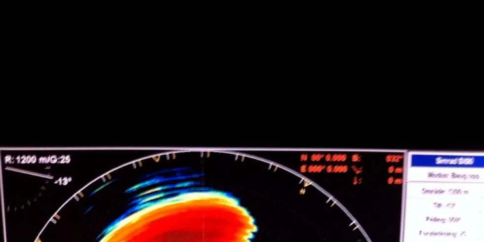 SILDEMENGDE: Fiskere og forskere et totalt uenige i hvor mye sild det er i dette sonarbildet far vest for Lofoten i vinter. Dette har utløst et enormt sprik i vurderingen av NVG-sildebestanden.