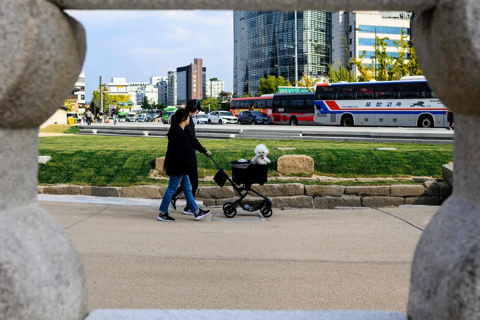 Et par går tur med hunden utenfor Gyeongbokgung-palasset i hovedstaden Seoul i Sør-Korea. Presidenten i landet erklærte tidligere i år nasjonal «demografikrise» etter at fruktbarheten har falt ned mot 0,7 barn per kvinne.