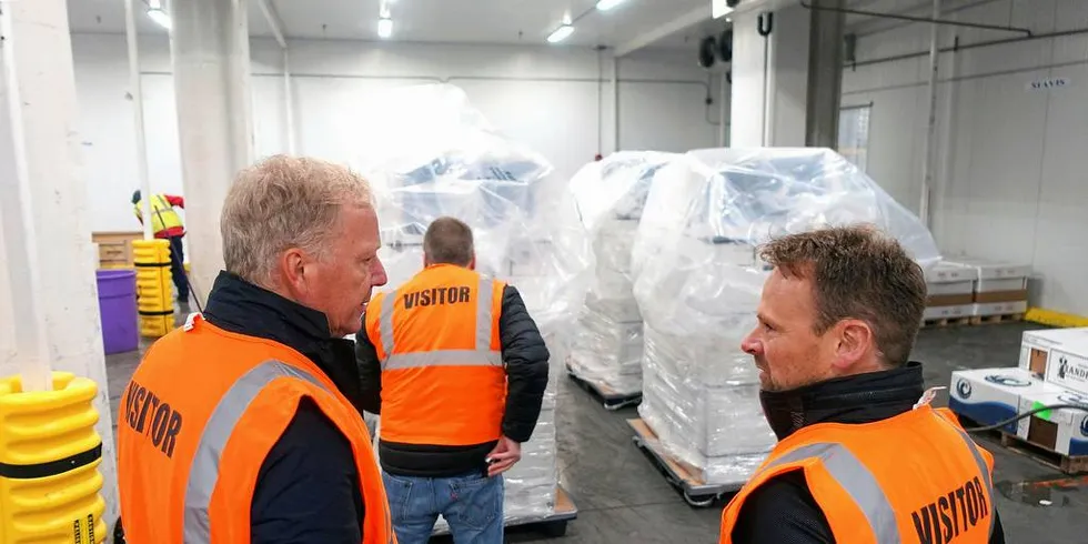 SJØTRANSPORT: Mer varegods, inkludert sjømat, bør gå sjøveien, men det skjer ikke av seg selv. Illustrasjonsfoto: SinkabergHansen