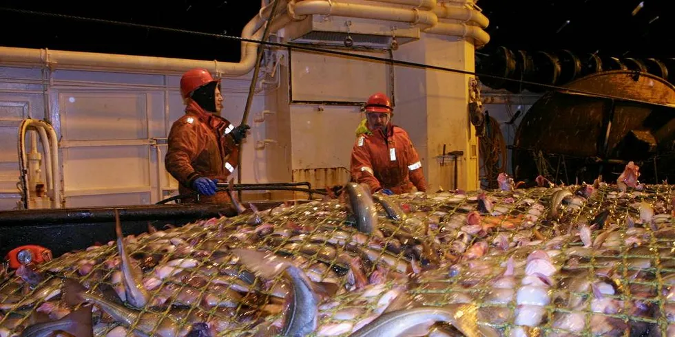 MILLIONFANGST: Trålflåten for torsk og sei dro inn fisk for i gjennomsnitt 140 millioner kroner i fjor, noe som er dobling av trålerens gjennomsnittlige fangstverdi siden 2015.Illustrasjonsfoto: Bjørn Tore Forberg