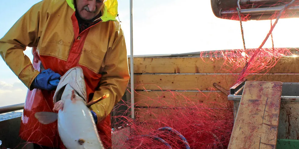 TAR UTFORDRINGEN: Kurt Harald Jensen har vært fisker i en mannsalder, og hver vinter kjører han den lange veien fra Farsund til Røst for å delta i skreifisket.