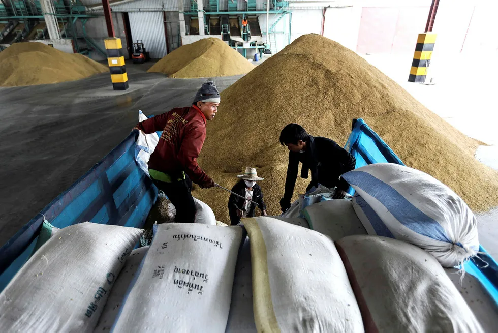 Fattige bønder i Sør kan oppleve å få enda mindre betalt for råvarene de dyrker, sier forfatteren. Her risbønder i Thailand. Foto: Dario Pignatelli/Bloomberg