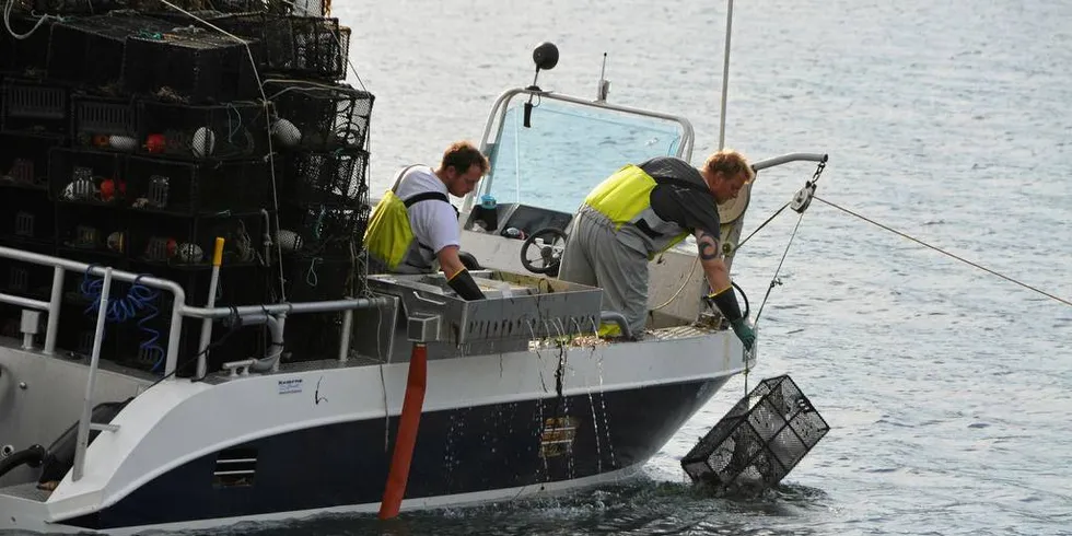 LEPPEFISKFISKE: Det er trolig den eksplosive økningen i fiske etter leppefisk de siste årene og stengingen av fiskeriet i fjor, som har vært årsaken til den kraftige fremveksten av de minste fiskebåtene.Foto: Einar Lindbæk