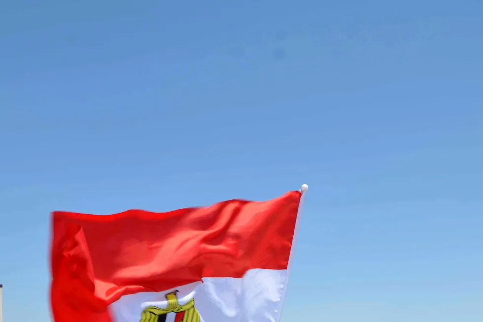 Revived: waving the flag for Egypt